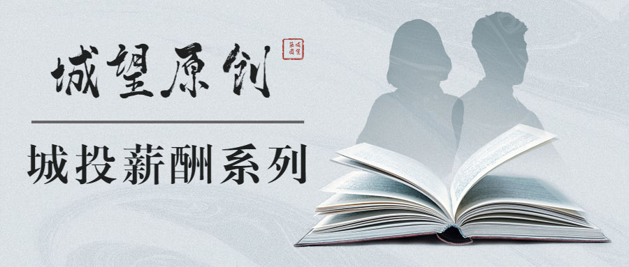 原創(chuàng)丨【城投薪酬系列】專題六：特殊人才協(xié)議工資制薪酬設計思路