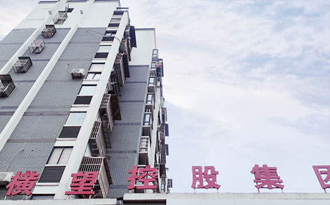 獻策“十四五”規(guī)劃編制，助力橫望集團高質量發(fā)展