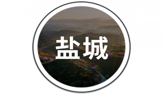   鹽城：設(shè)立30億的還貸過橋資金池、20億債務(wù)風(fēng)險(xiǎn)化解周轉(zhuǎn)金