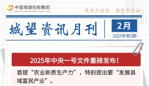 城望資訊2月刊丨中央一號文件重磅發(fā)布！全國首單數據資產作價入股落地？