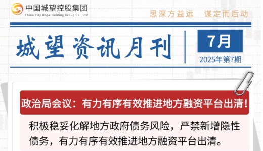 城望資訊7月刊丨有力有序有效推進(jìn)地方融資平臺出清！