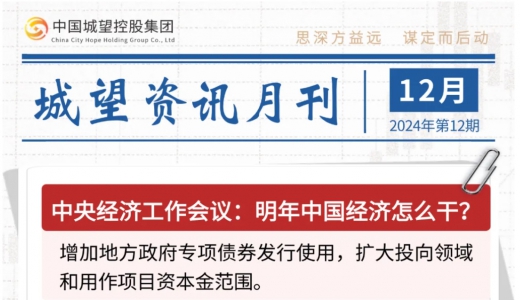 城望資訊12月刊丨明年中國(guó)經(jīng)濟(jì)怎么干？